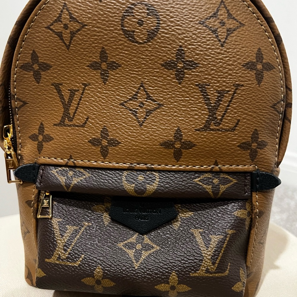 Louis Vuitton Palm Springs Mini Backpack - Picture 4 of 14